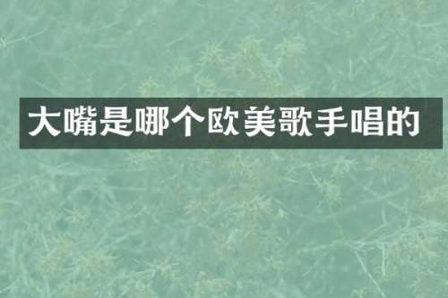 大嘴是哪个欧美歌手唱的