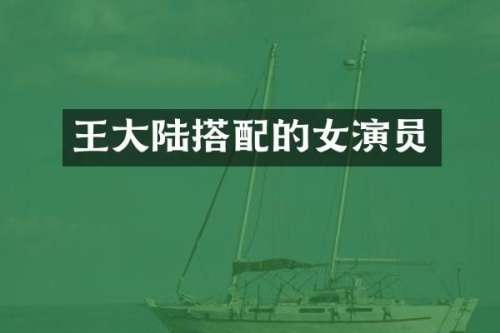 王大陆搭配的女演员