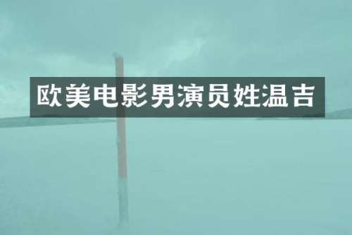 欧美电影男演员姓温吉