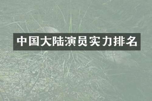 中国大陆演员实力排名