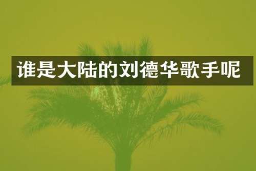 谁是大陆的刘德华歌手呢