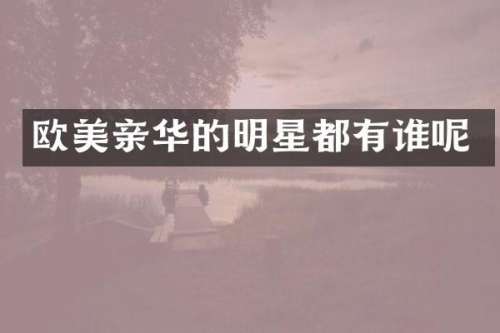 欧美亲华的明星都有谁呢