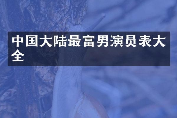 中国大陆最富男演员表大全