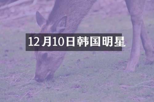 12月10日韩国明星