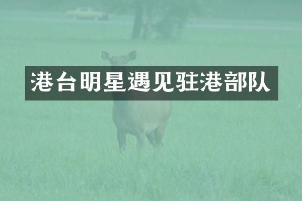 港台明星遇见驻港部队