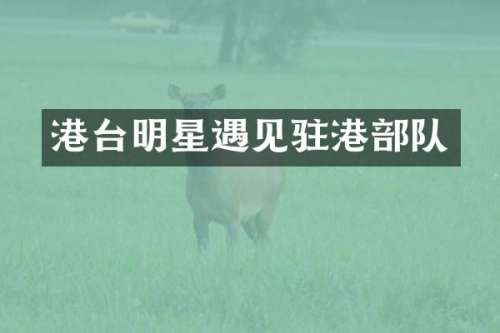 港台明星遇见驻港部队