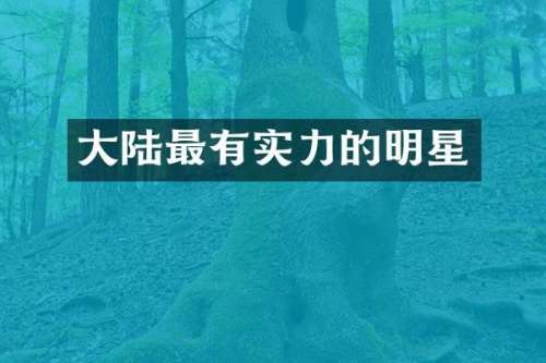 大陆最有实力的明星