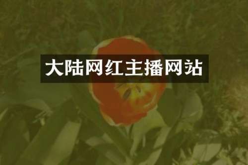 大陆网红主播网站