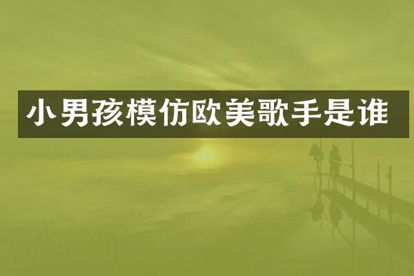 小男孩模仿欧美歌手是谁
