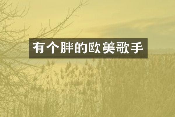 有个胖的欧美歌手