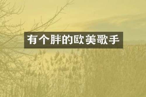 有个胖的欧美歌手