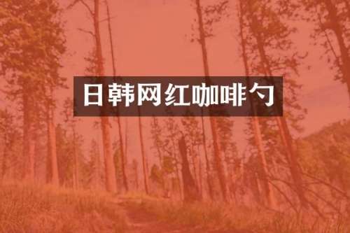 日韩网红咖啡勺