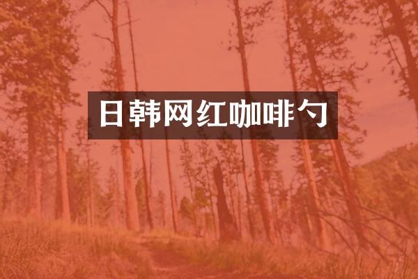 日韩网红咖啡勺