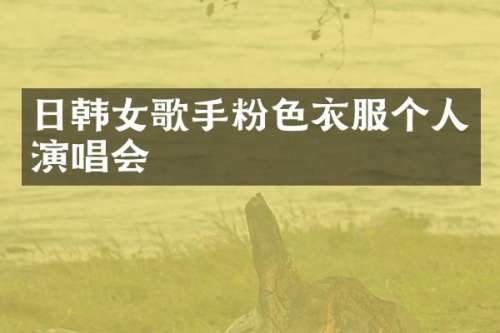 日韩女歌手粉色衣服个人演唱会