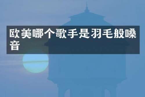 欧美哪个歌手是羽毛般嗓音