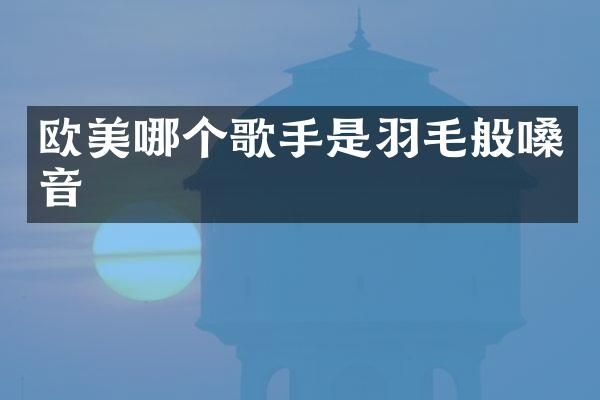 欧美哪个歌手是羽毛般嗓音