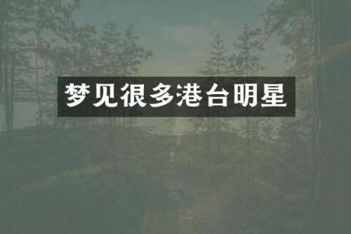 梦见很多港台明星