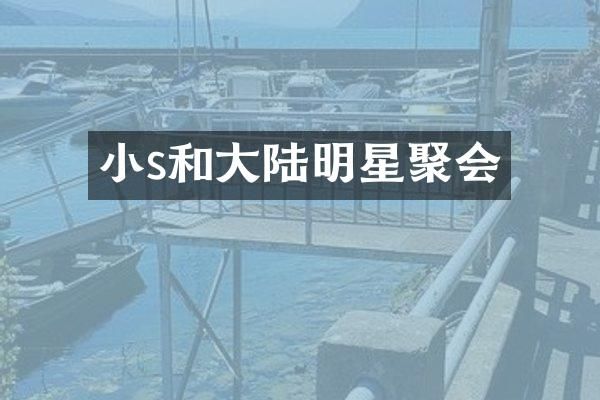 小s和大陆明星聚会