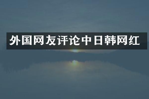 外国网友评论中日韩网红