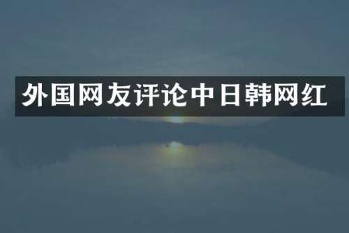 外国网友评论中日韩网红