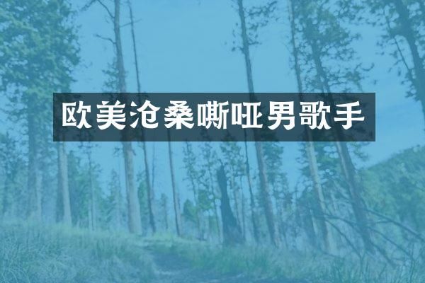 欧美沧桑嘶哑男歌手