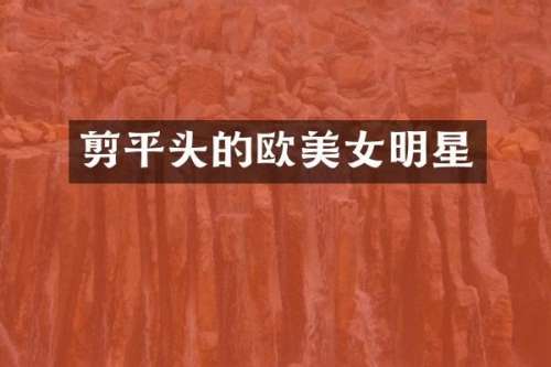 剪平头的欧明星