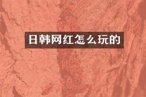 日韩网红怎么玩的