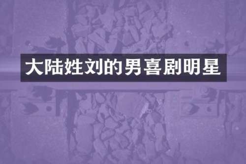 大陆姓刘的男喜剧明星