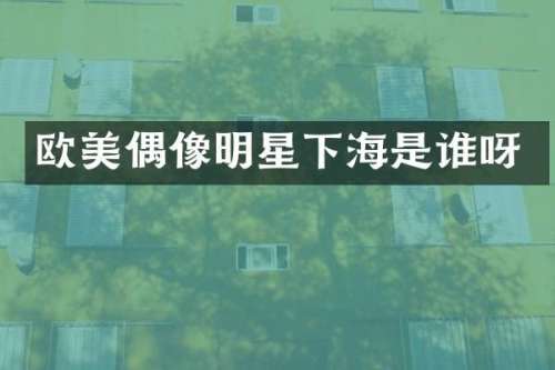 欧美偶像明星下海是谁呀