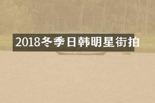 2018冬季日韩明星街拍