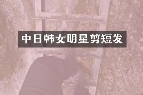 中日韩女明星剪短发