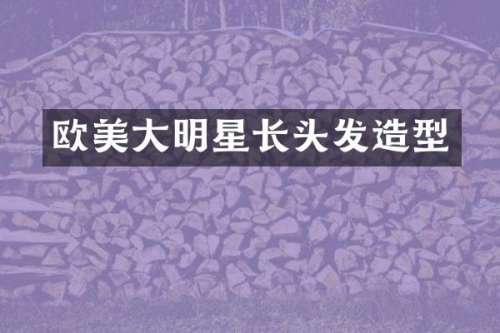 欧美大明星长头发造型