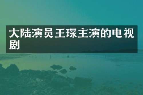 大陆演员王琛主演的电视剧