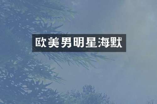 欧美男明星海默