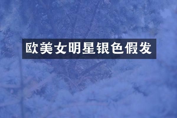 欧明星银色假发