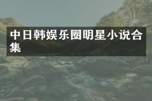 中日韩娱乐圈明星小说