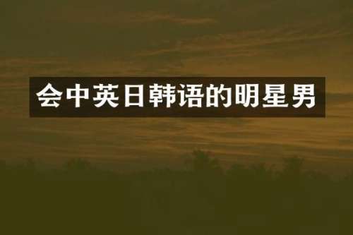 会中英日韩语的明星男