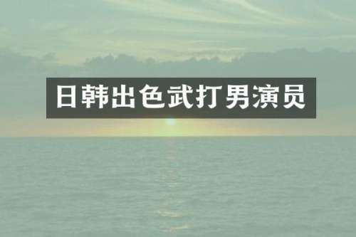 日韩出色武打男演员