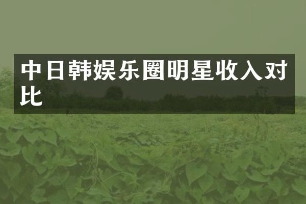 中日韩娱乐圈明星收入对比
