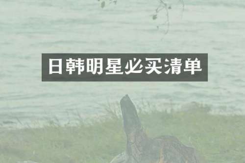 日韩明星必买清单