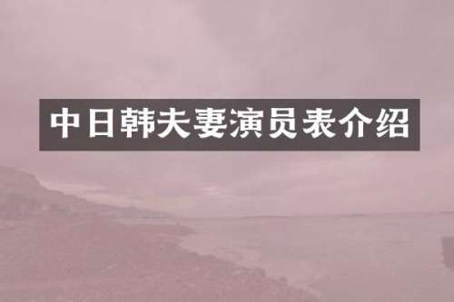 中日韩夫妻演员表介绍