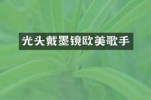 光头戴墨镜欧美歌手