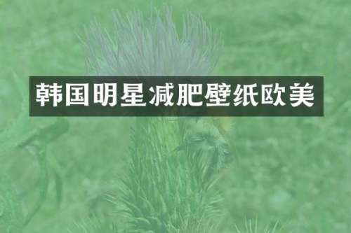 韩国明星减肥壁纸欧美