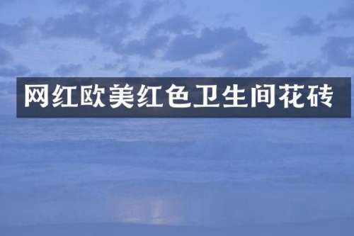 网红欧美红色卫生间花砖