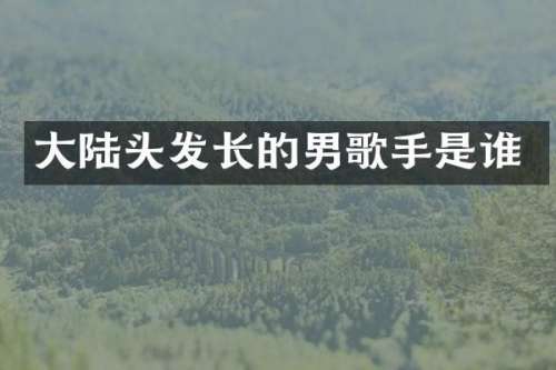 大陆头发长的男歌手是谁