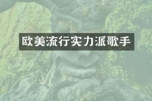 欧美流行实力派歌手