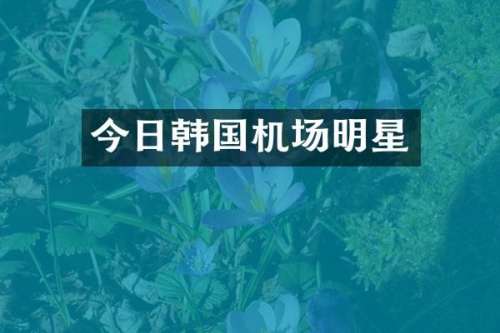 今日韩国机场明星