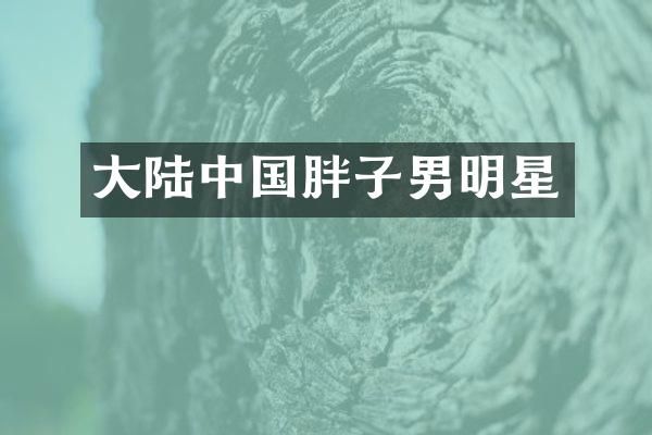 大陆中国胖子男明星