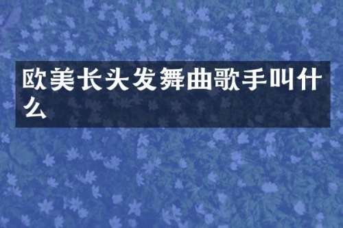欧美长头发舞曲歌手叫什么