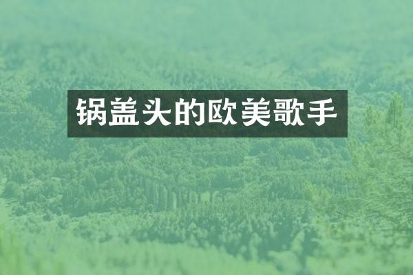 锅盖头的欧美歌手